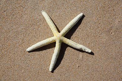 《影子政府模拟器》试玩Demo上线Steam 支持简繁体中文